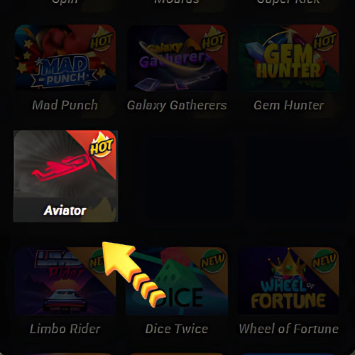 Instruction Finding the Aviator game